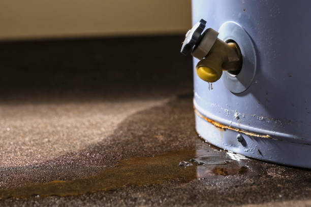 Sewage cleanup and water damage restoration in IN