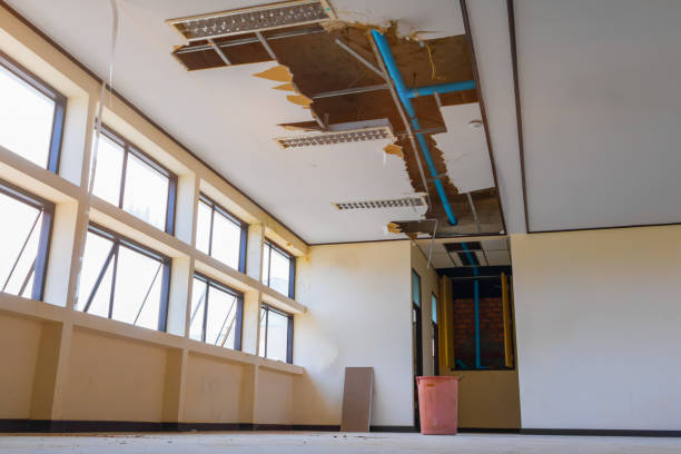 Best 24-hour water damage restoration  in Lynnville, IN