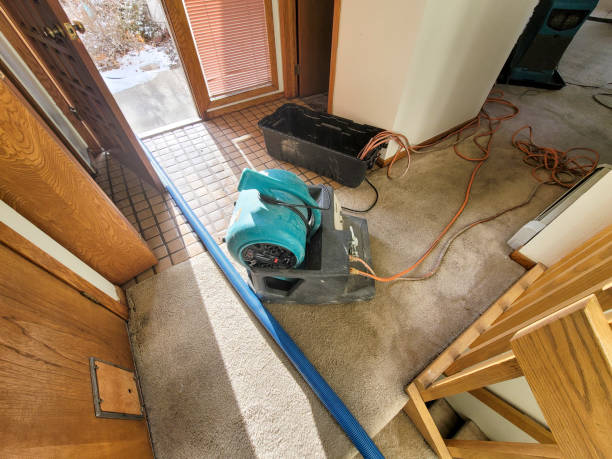 Best Professional water damage repair  in Lynnville, IN