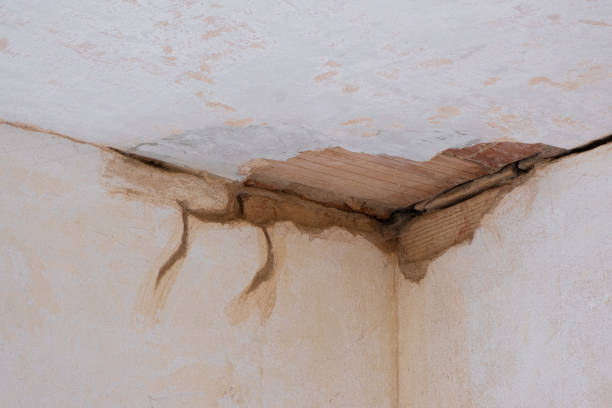Water damage restoration experts in IN