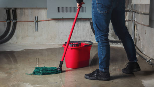 Best Basement water damage restoration  in Lynnville, IN