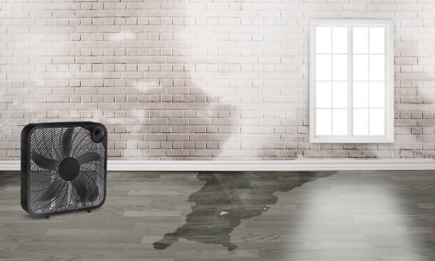 Best Commercial water damage restoration  in Lynnville, IN