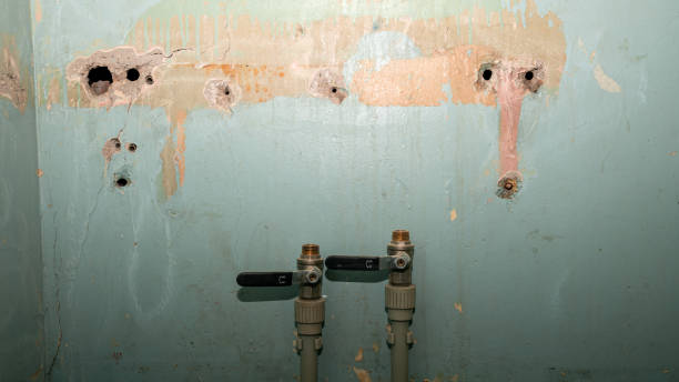 Best Water damage contractors near me  in Lynnville, IN