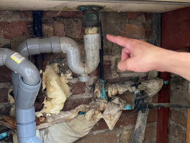 Best Water damage restoration experts  in Lynnville, IN
