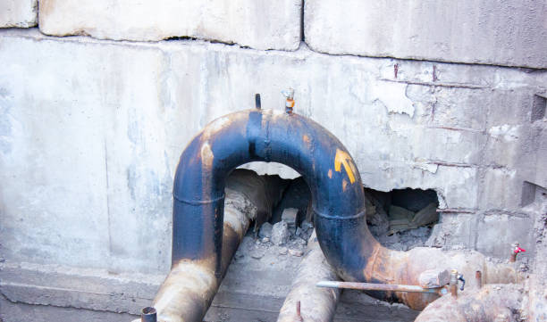 Best 24/7 water damage repair  in Lynnville, IN