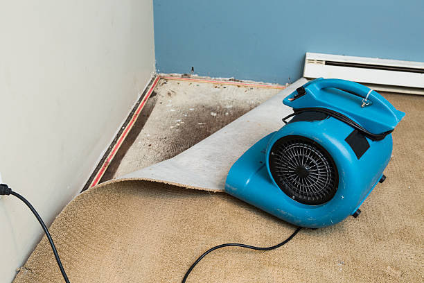 Best Flood restoration services  in Lynnville, IN